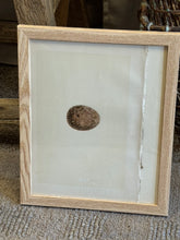 Load image into Gallery viewer, Nests & Eggs of British Birds
