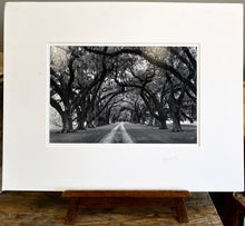 Load image into Gallery viewer, "Under the Umbrella of Trees" Original Photograph