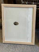 Load image into Gallery viewer, Nests & Eggs of British Birds
