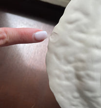 Load image into Gallery viewer, Vintage Carlton Ware Lobster Plates