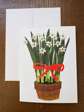 Load image into Gallery viewer, Paperwhites with Red Ribbon ~ 6 pack