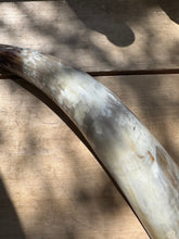 Load image into Gallery viewer, Faux Bull Horn