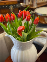 Load image into Gallery viewer, Detailed Portuguese Water Pitcher