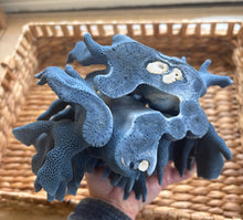 Load image into Gallery viewer, Mediterranean Blue Coral