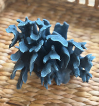 Load image into Gallery viewer, Mediterranean Blue Coral