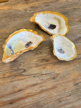 Load image into Gallery viewer, Oyster Pinch Pots ~ set of 3