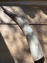 Load image into Gallery viewer, Faux Bull Horn