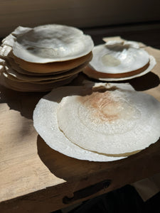 Clam Shells