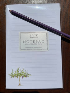 Vineyard Vine Notepad (Lined)
