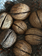Load image into Gallery viewer, African Seed Pods