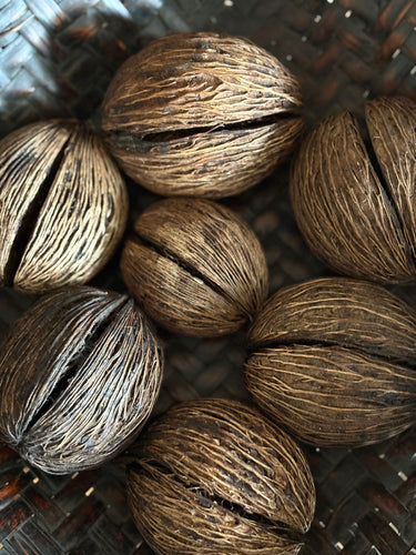 African Seed Pods