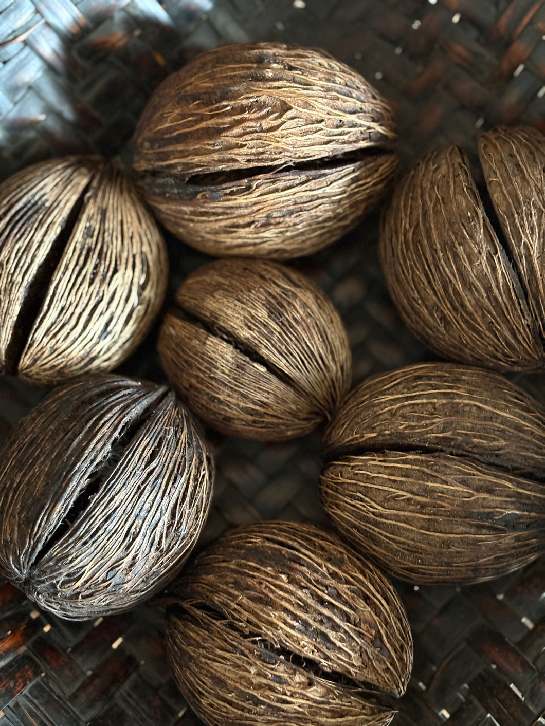 African Seed Pods