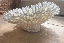 Load image into Gallery viewer, Snow Coral