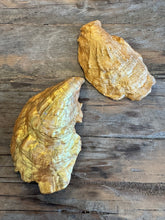 Load image into Gallery viewer, Oyster Pinch Pots ~ set of 3