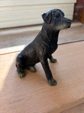 Load image into Gallery viewer, French Dog