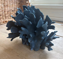 Load image into Gallery viewer, Mediterranean Blue Coral