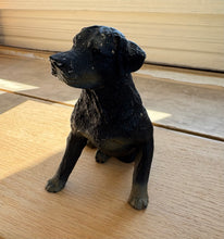 Load image into Gallery viewer, French Dog