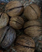 Load image into Gallery viewer, African Seed Pods