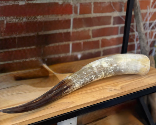 Faux Bull Horn