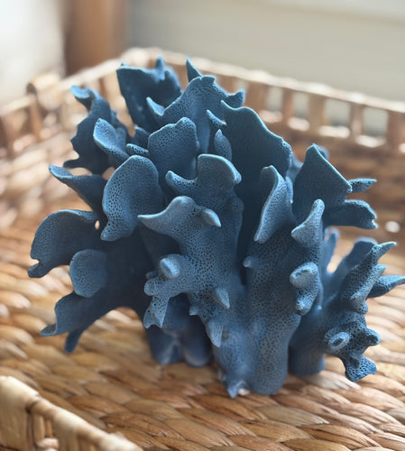 Mediterranean Blue Coral