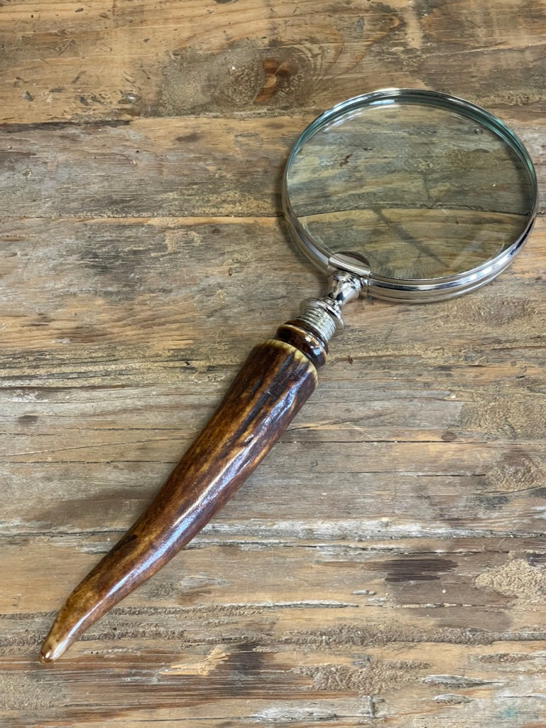 Chocolate Stag Horn Magnifying Glass