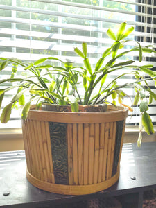 Repousse Bamboo and Reed Container