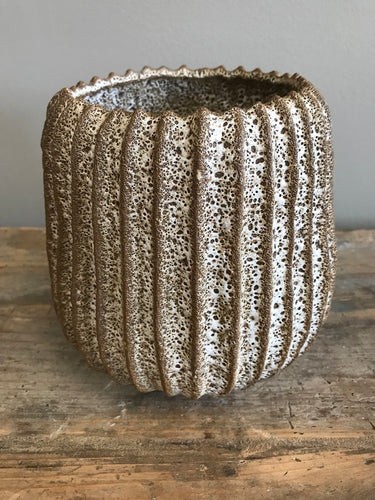 Cayman Vase