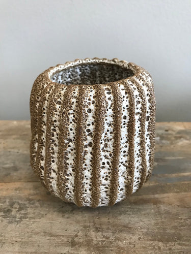 Cayman Pot