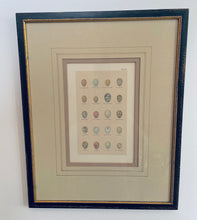 Load image into Gallery viewer, Pair of Framed Vintage Egg Prints