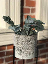 Load image into Gallery viewer, Veranda Plant Stand with Pot