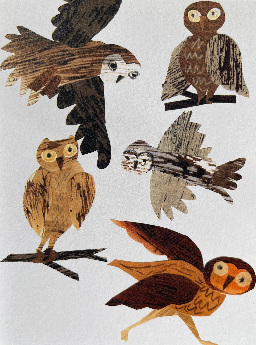 Owls in Flight