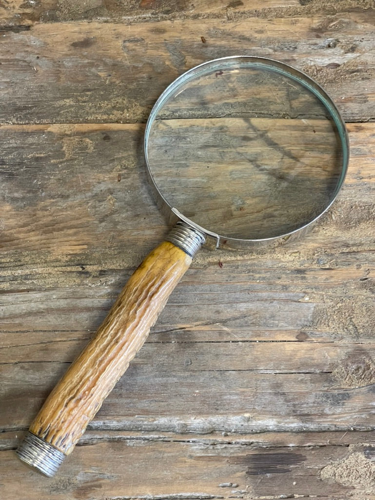 Blonde Stag Horn Magnifying Glass