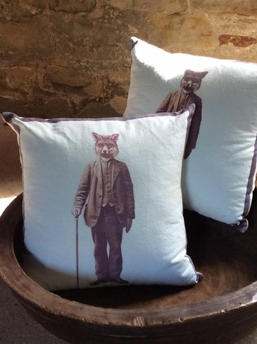 Mr. Fox